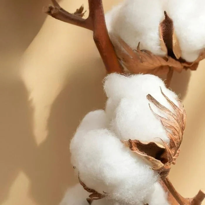 Luxury Embroidered Bedding Set for Bedroom Decor – Elegant Bed Linen for Comfortable Sleep and Stylish Interiors