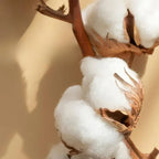 Luxury Embroidered Bedding Set for Bedroom Decor – Elegant Bed Linen for Comfortable Sleep and Stylish Interiors