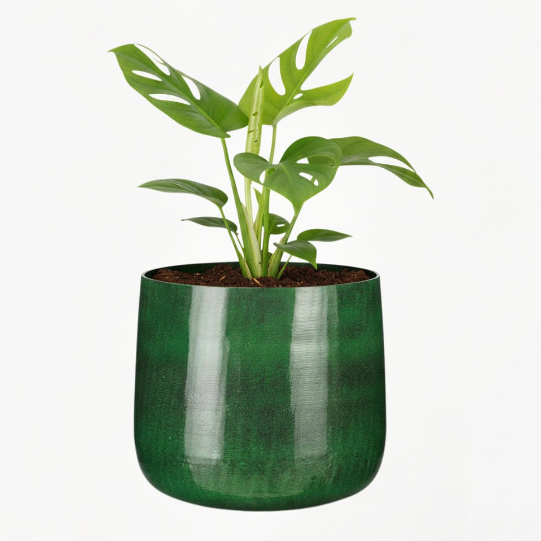 Industrial-Style Dark Green Metal Planter – Flower Pot