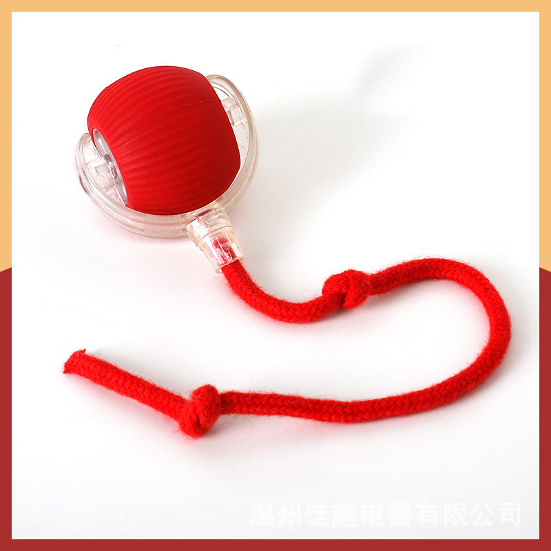 Self-Dispensing Water Fountain for Cats