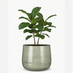 Spacious Light Grey Metal Planter – Contemporary Industrial Design