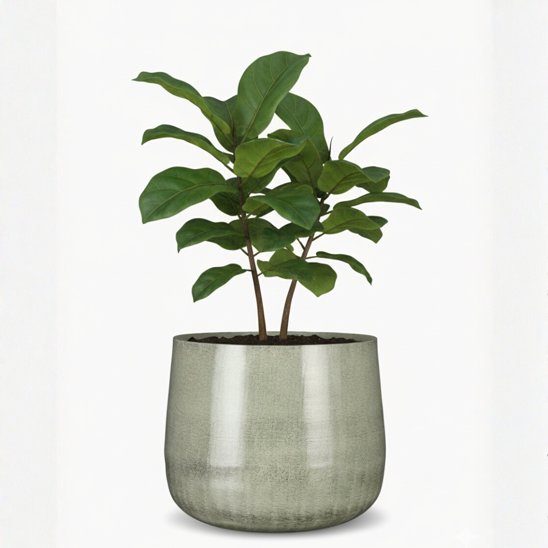 Spacious Light Grey Metal Planter – Contemporary Industrial Design