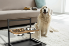 Raised Dog Feeding Station for Comfortable Mealtimes – Elevated Food and Water Bowl Stand for Dogs of All Sizes