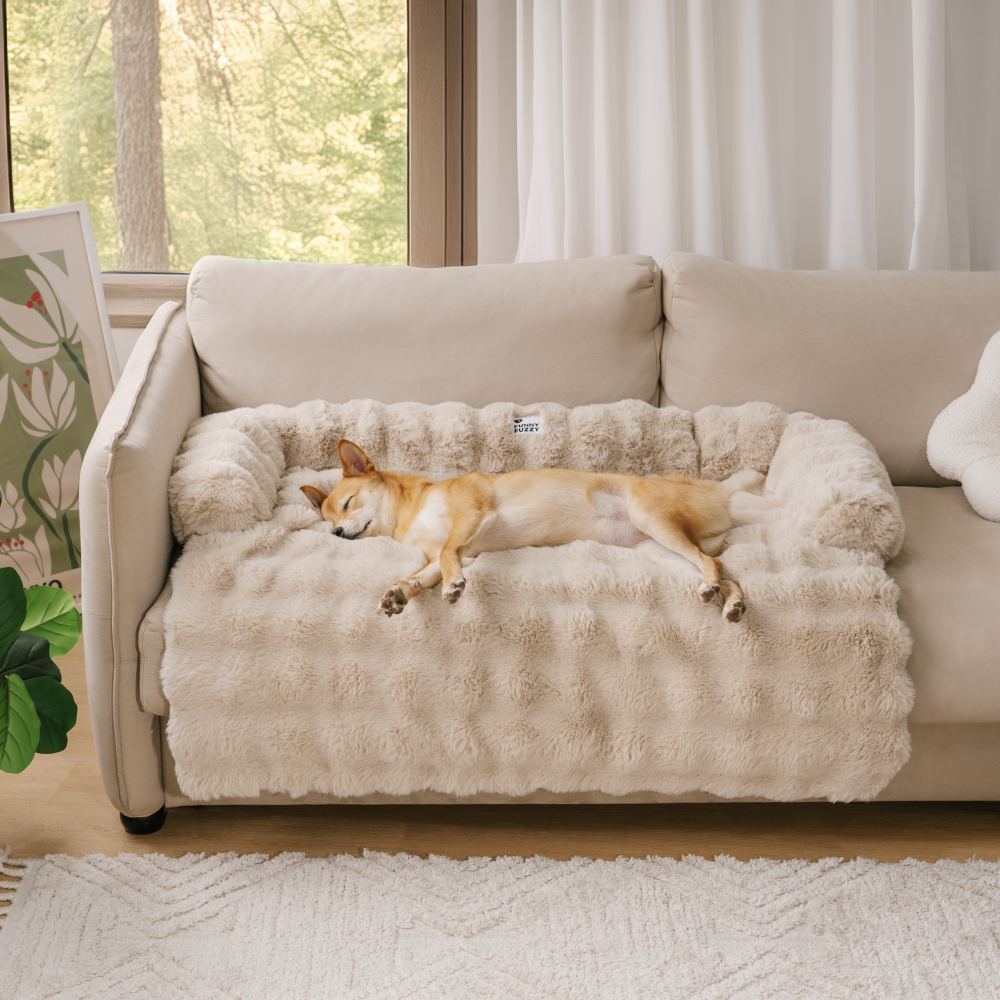 Cozy Plush Dog Bed for Everyday Comfort – Soft Supportive Pet Bed for Rest, Sleep and Relaxation