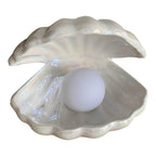 Pearl Shell Table Lamp for Soft Ambient Lighting – Elegant Decorative Lamp for Bedroom and Living Room