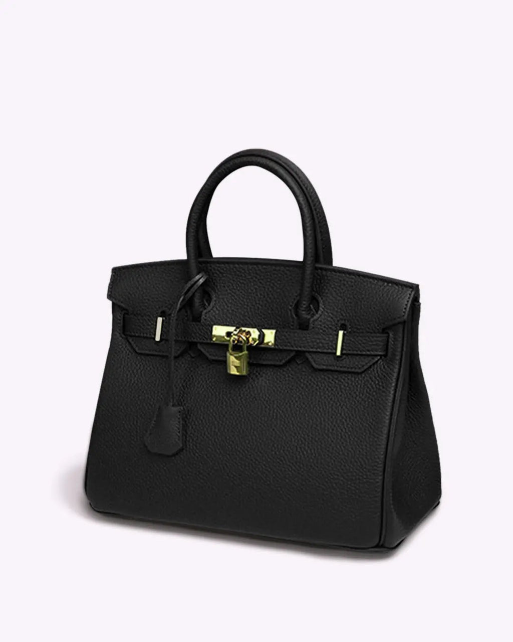 Women's Elegant Leather Handbag with Chic Closure