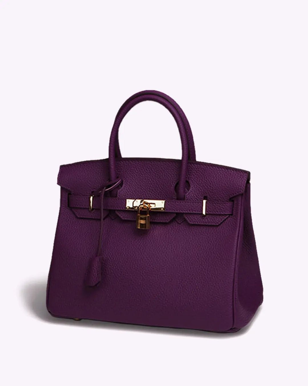 Women's Elegant Leather Handbag with Chic Closure