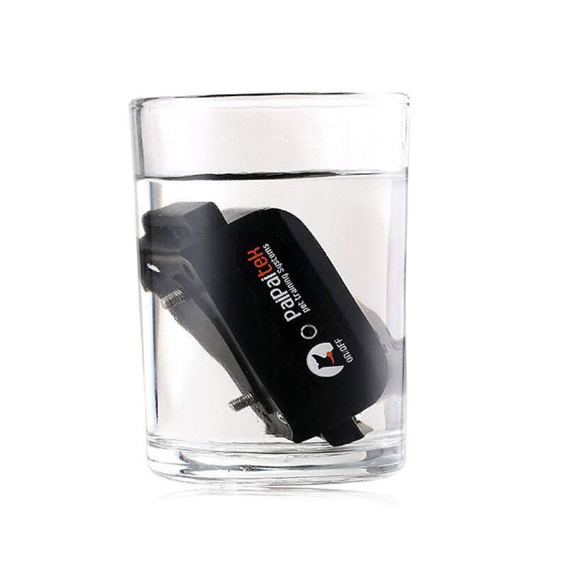 AquaStride Pro – 1000m Waterproof Rechargeable Dog Training Collar | Long-Range Remote Control