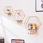 Hexagonal Wall Shelves for Home Decor – Decorative Display Storage for Collectibles, Plants and Wall Accents