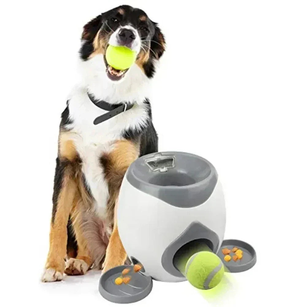 Automatic Moving Dog Toy for Active Play – Interactive Pet Toy for Exercise, Mental Stimulation and Indoor Entertainment