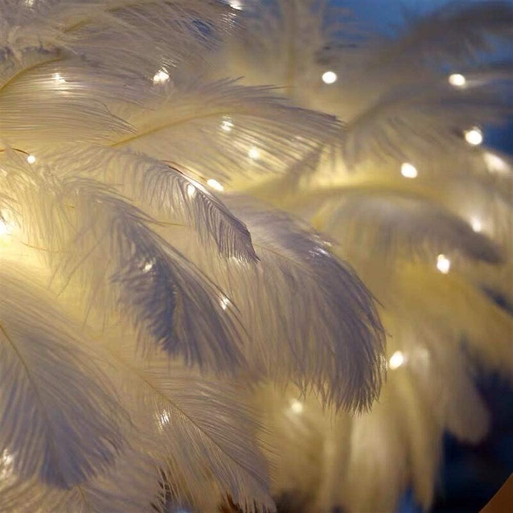 Soft Feather-Inspired Night Light for Bedroom and Living Room – Elegant Decorative Ambient Lamp with Stylish Base