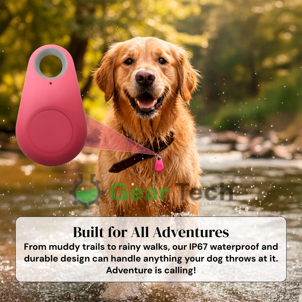 Bluetooth Pet Tracker with Keyring Real-Time GPS Location Tracking Tag - Image 5