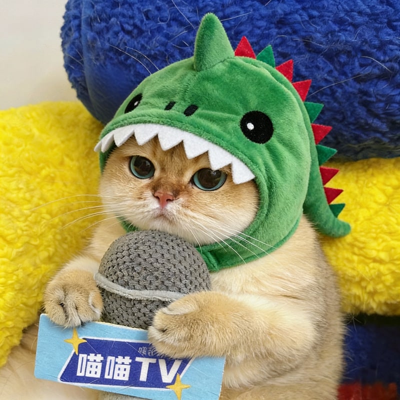 Cat Hat Costume Black Halloween Outfit with Plush Dinosaur Design Chin Strap Woman - Image 7
