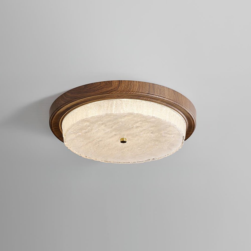 Ceiling Lamp LED Modern Light Fixture Home Decor Indoor Lighting - Image 18