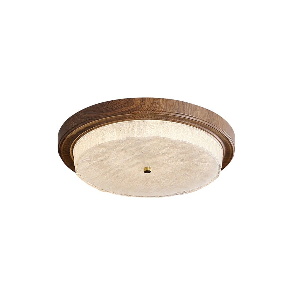Ceiling Lamp LED Modern Light Fixture Home Decor Indoor Lighting - Image 21