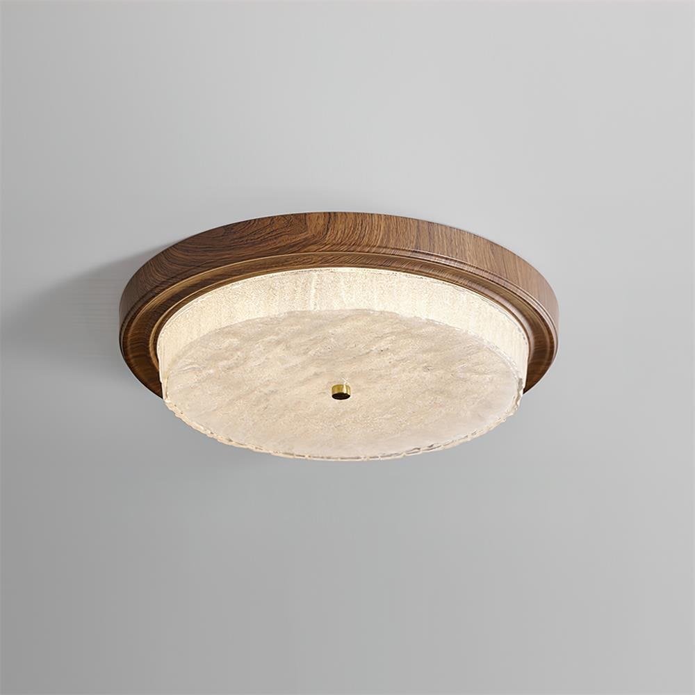 Ceiling Lamp LED Modern Light Fixture Home Decor Indoor Lighting - Image 22