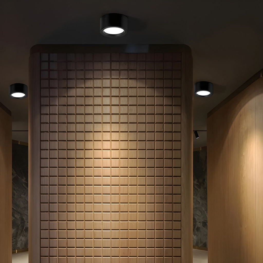 Cylinder Ceiling Light Surface Mount Flush Metal LED Downlight - Image 10