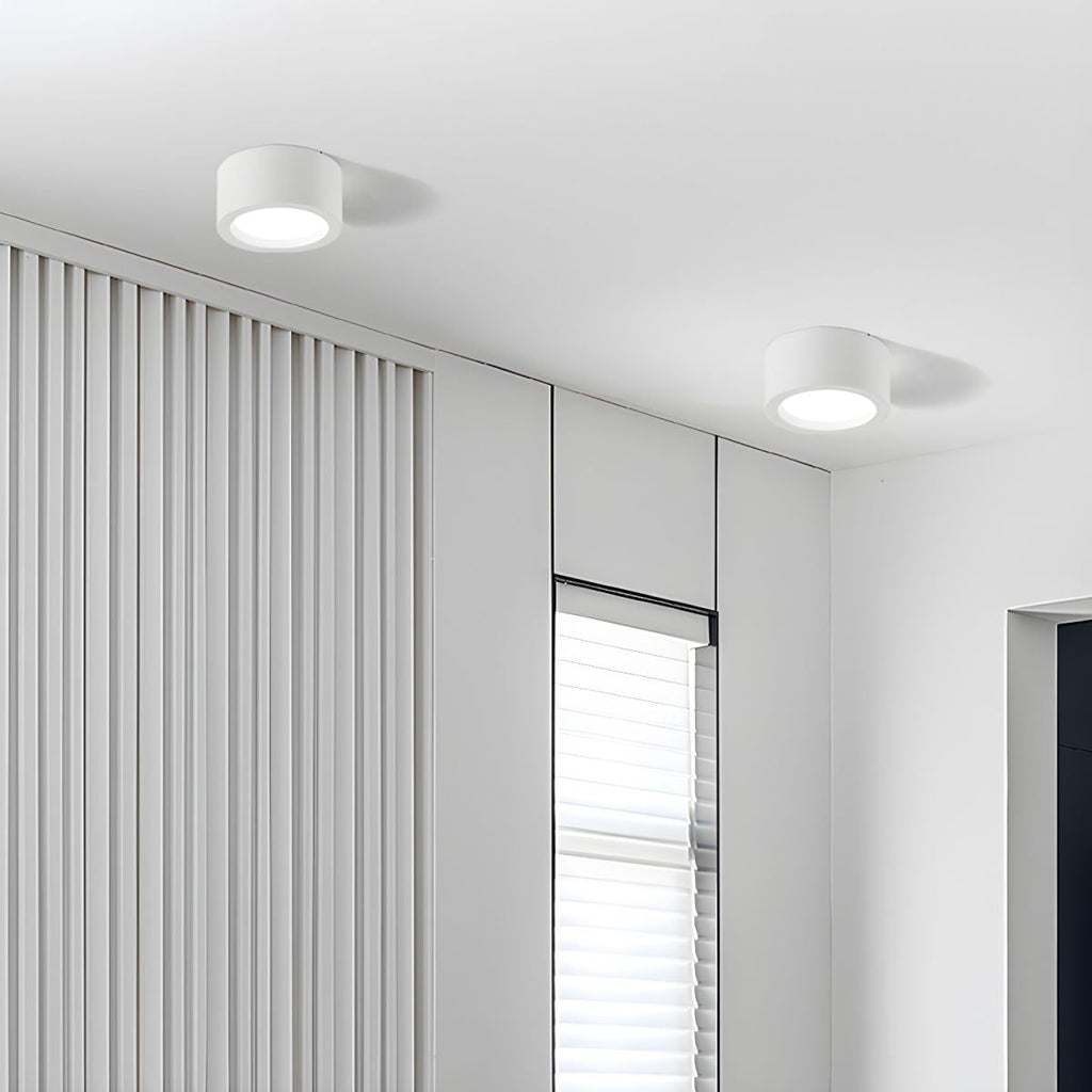 Cylinder Ceiling Light Surface Mount Flush Metal LED Downlight - Image 4