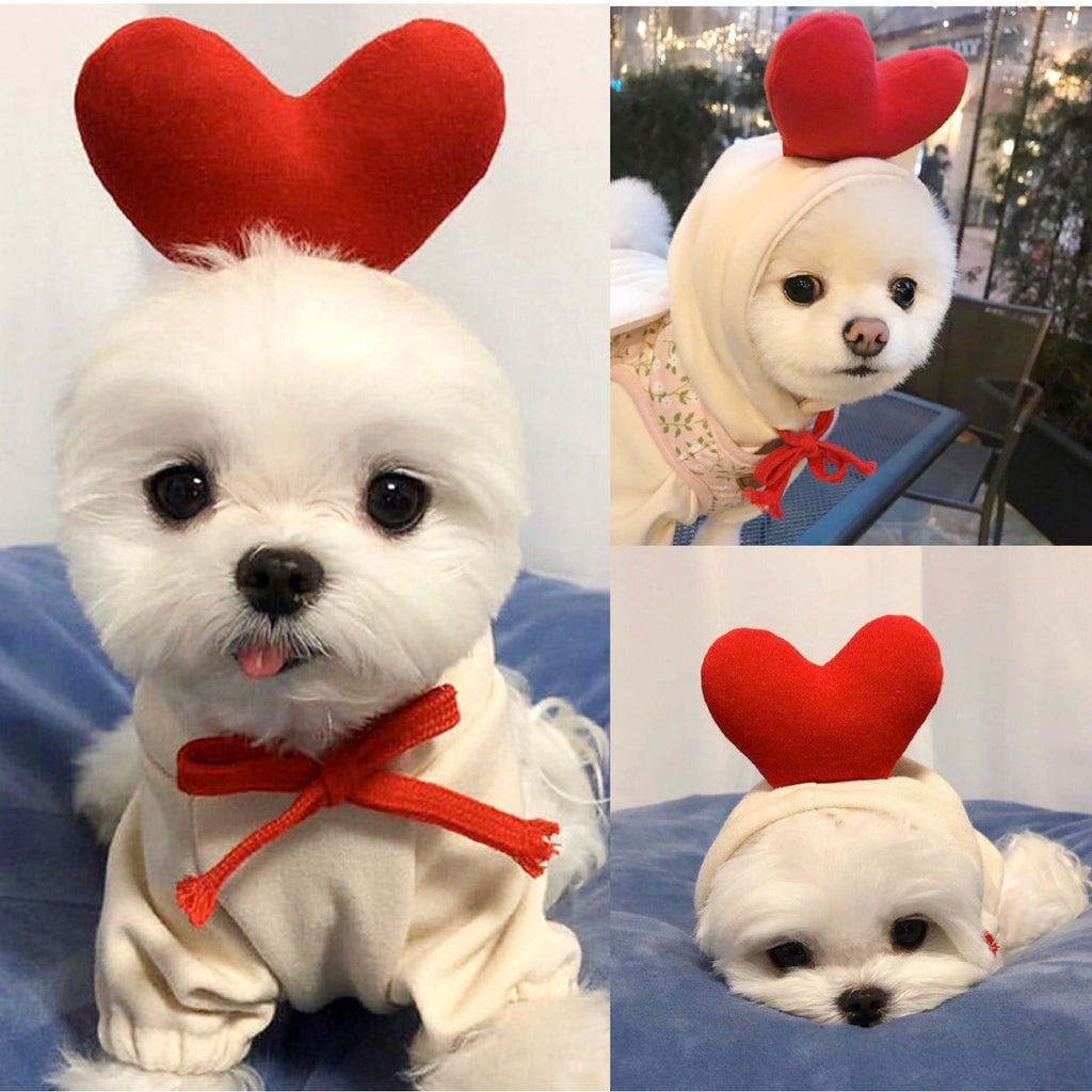 Dog Halloween Costumes and Outfits with Custom T-Shirts Fleece Hoodie with Novelty Hood for Small - Image 1