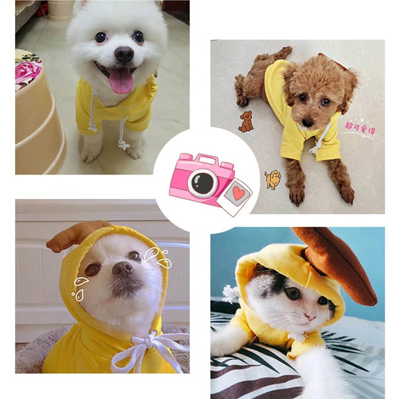 Dog Halloween Costumes and Outfits with Custom T-Shirts Fleece Hoodie with Novelty Hood for Small - Image 12