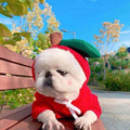 Dog Halloween Costumes and Outfits with Custom T-Shirts Fleece Hoodie with Novelty Hood for Small - Image 14