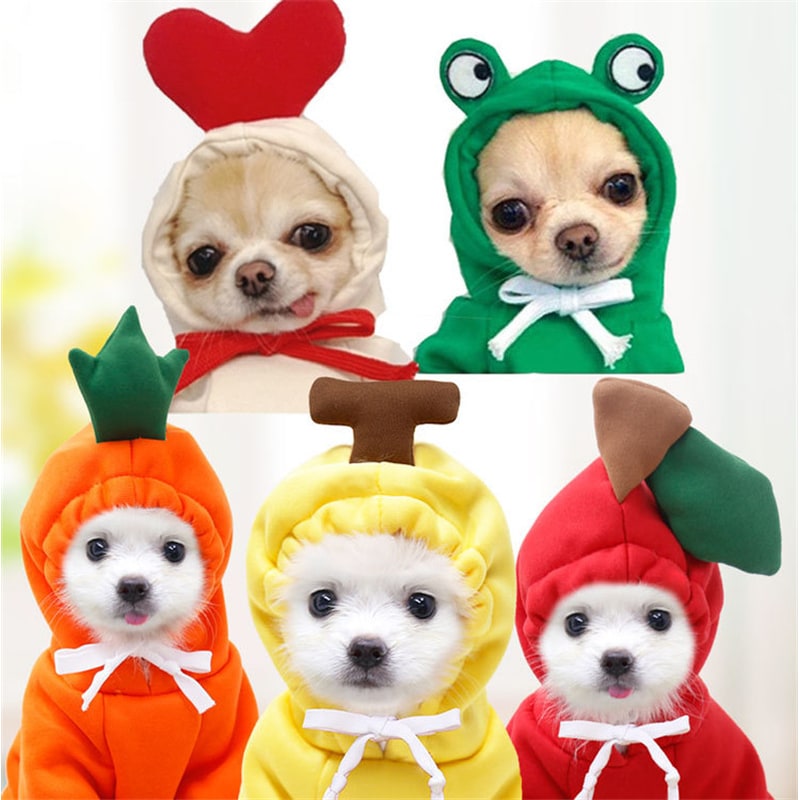 Dog Halloween Costumes and Outfits with Custom T-Shirts Fleece Hoodie with Novelty Hood for Small - Image 6