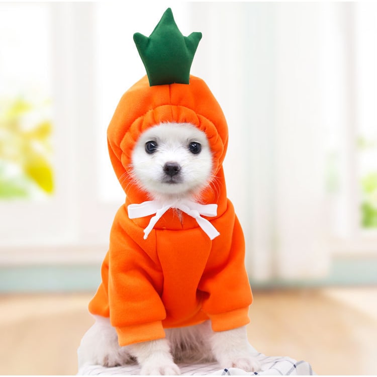 Dog Halloween Costumes and Outfits with Custom T-Shirts Fleece Hoodie with Novelty Hood for Small - Image 8