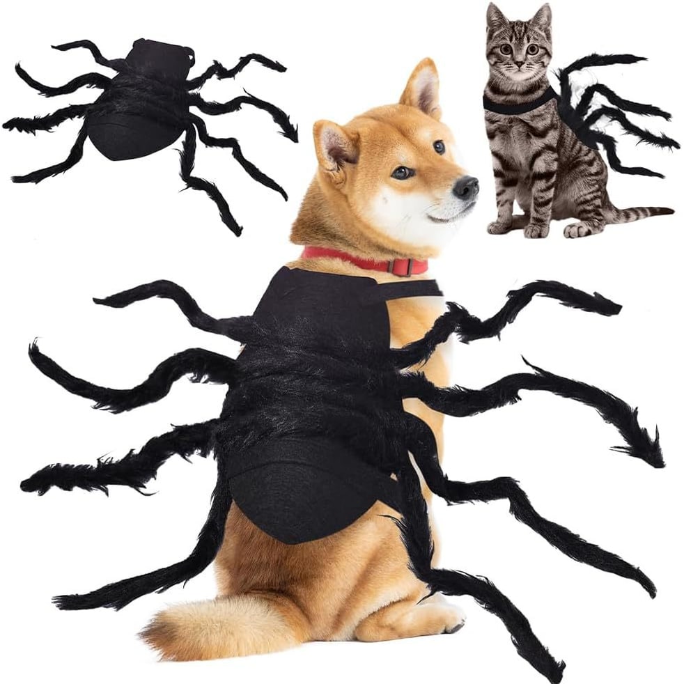 Dog Spider Costume with Bendable Fuzzy Legs for Halloween Pet Cats - Image 1