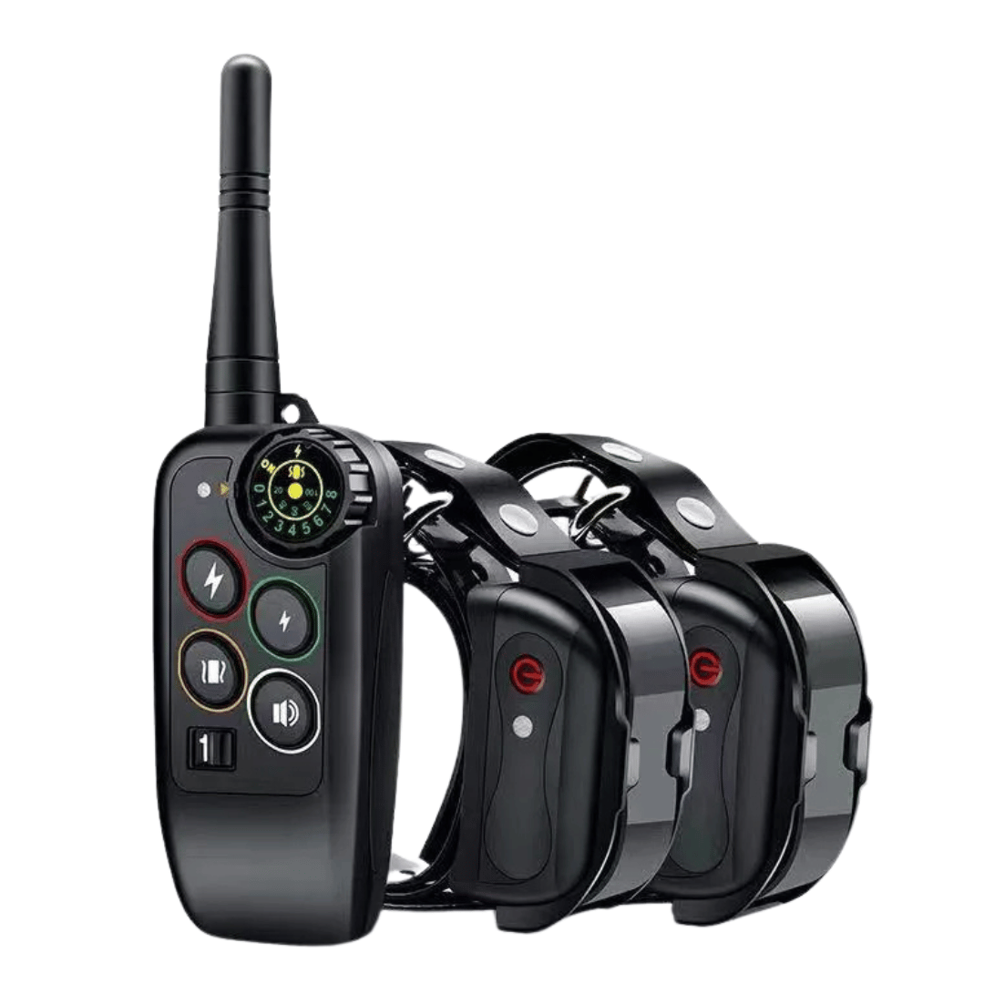 Dog Training Collar with Remote Control and Leash Tag - Image 1