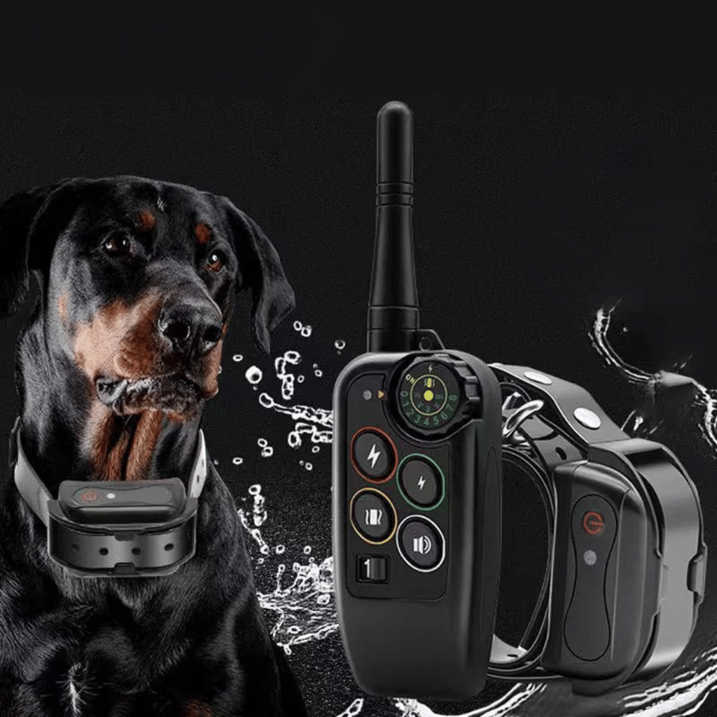 Dog Training Collar with Remote Control and Leash Tag - Image 2
