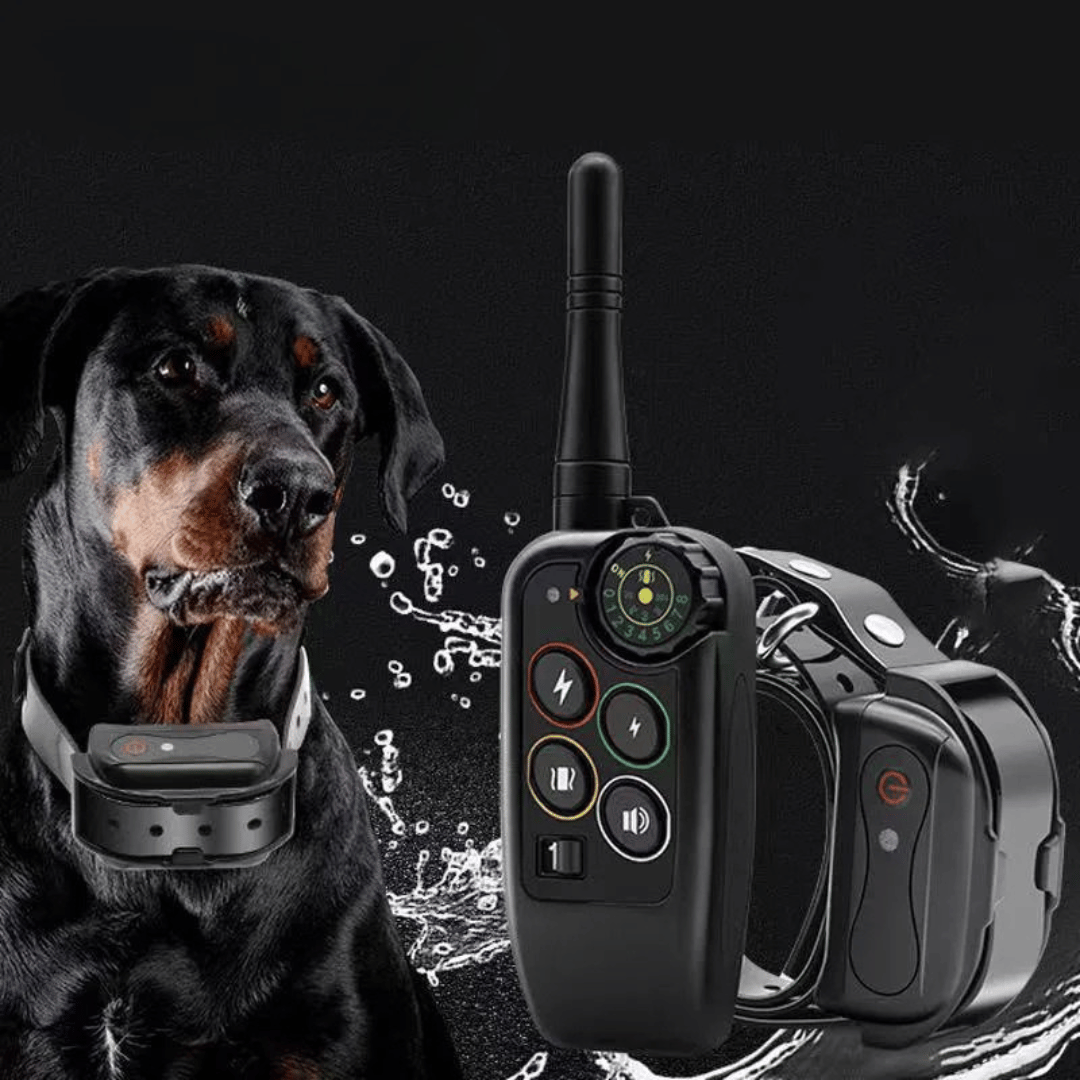 Dog Training Collar with Remote Control and Leash Tag - Image 2