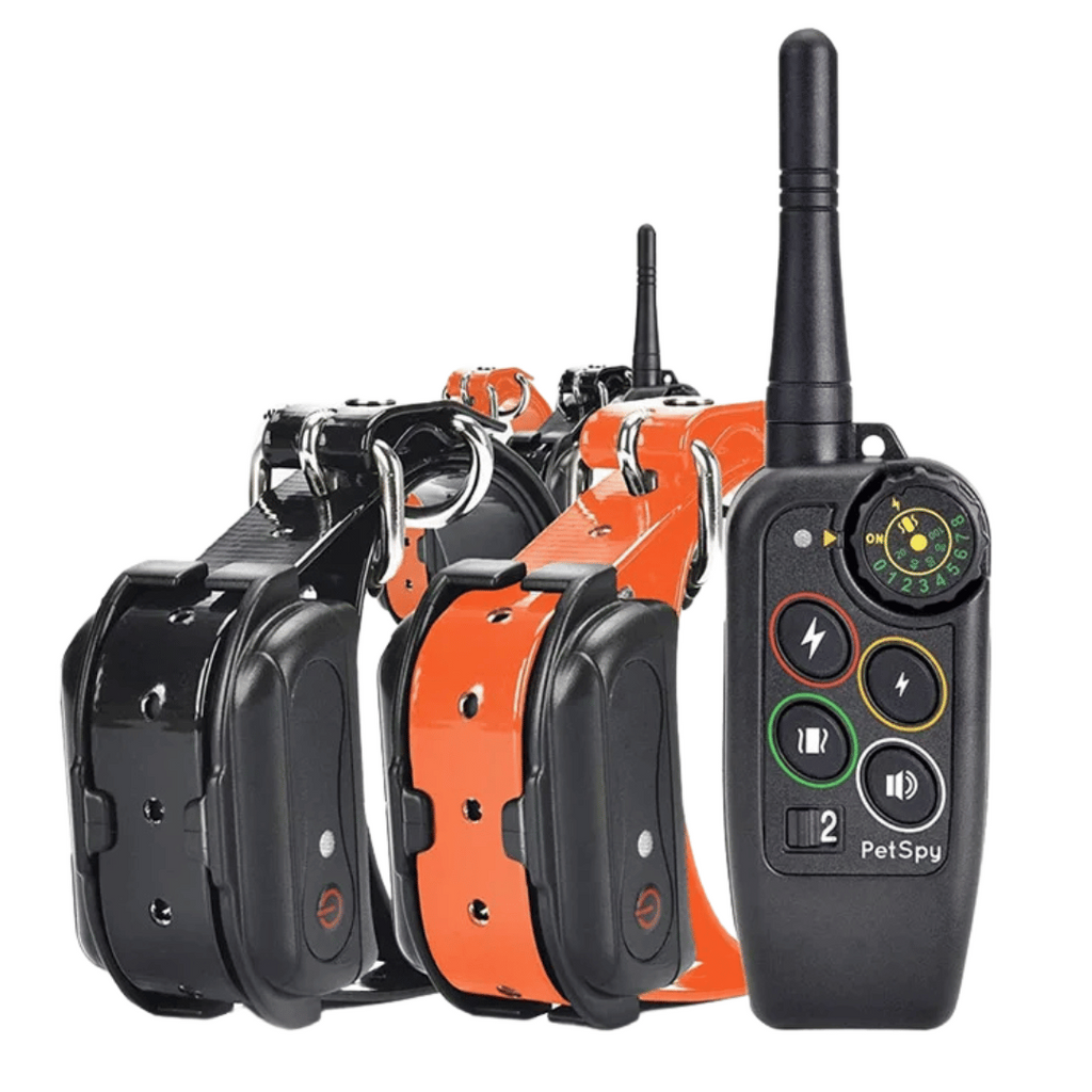 Dog Training Collar with Remote Control and Leash Tag - Image 3