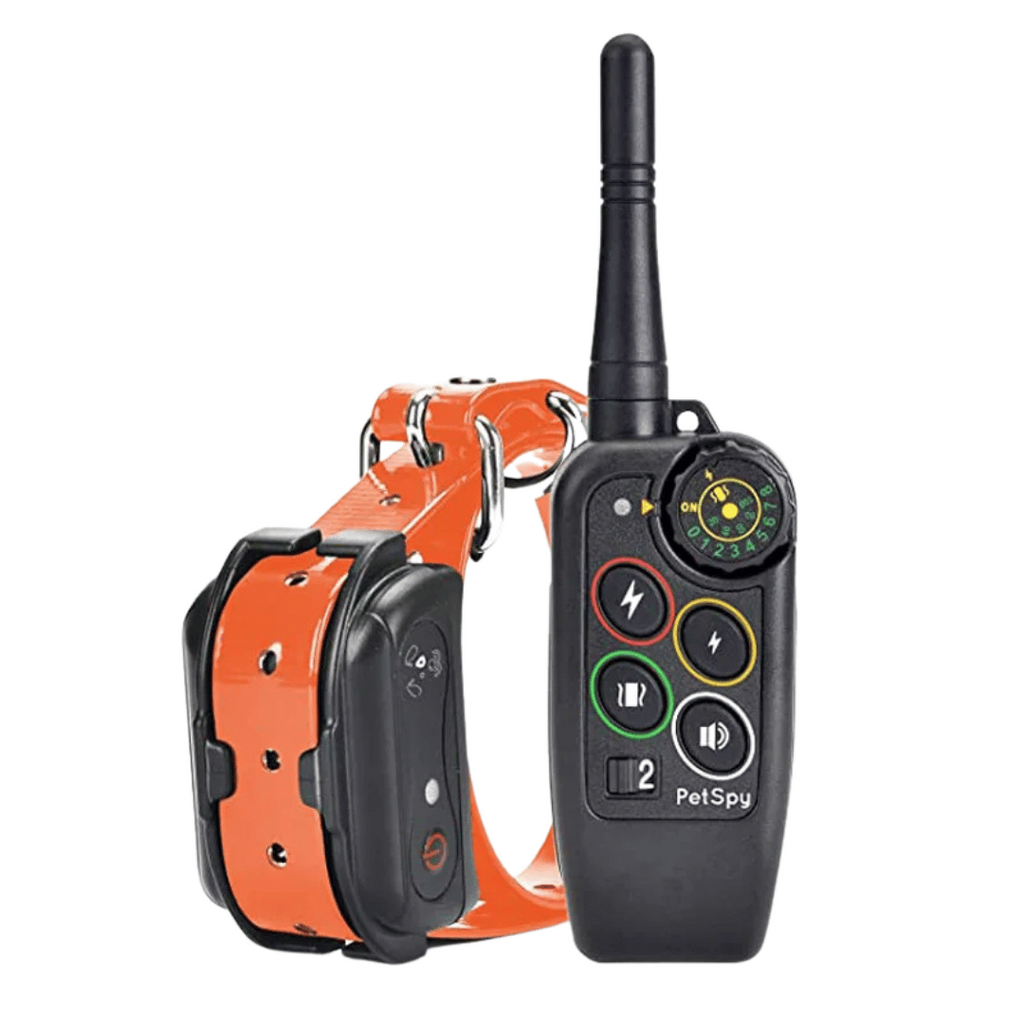 Dog Training Collar with Remote Control and Leash Tag - Image 4