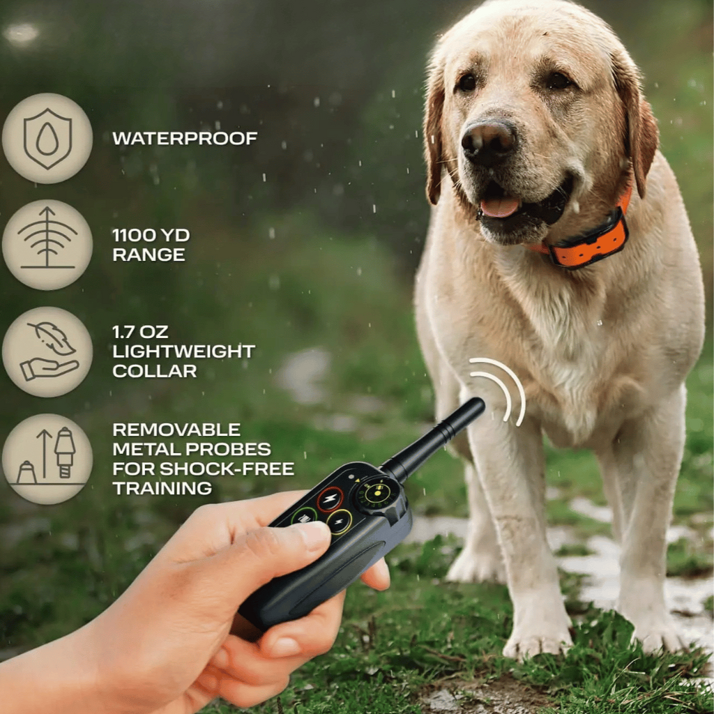 Dog Training Collar with Remote Control and Leash Tag - Image 5