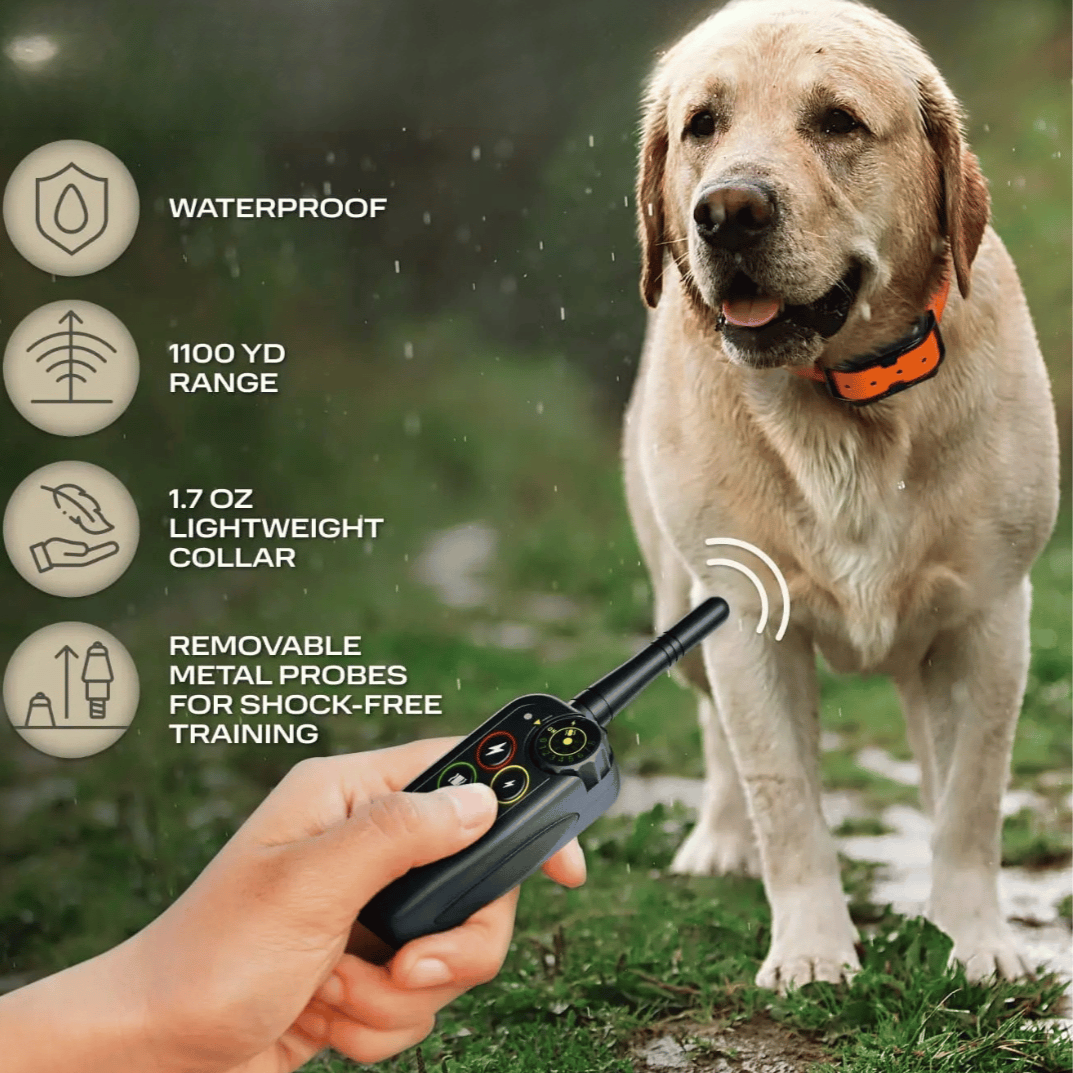 Dog Training Collar with Remote Control and Leash Tag - Image 5
