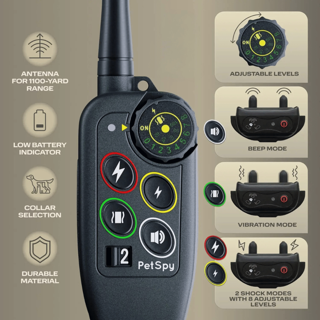 Dog Training Collar with Remote Control and Leash Tag - Image 6