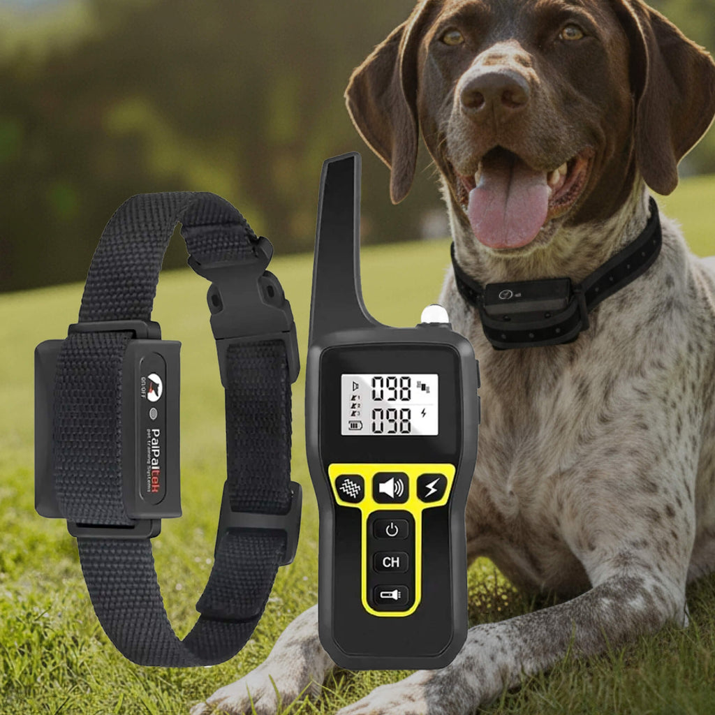 Dog Training Collar with Remote Control Waterproof Receiver and Name Tag Shock - Image 12