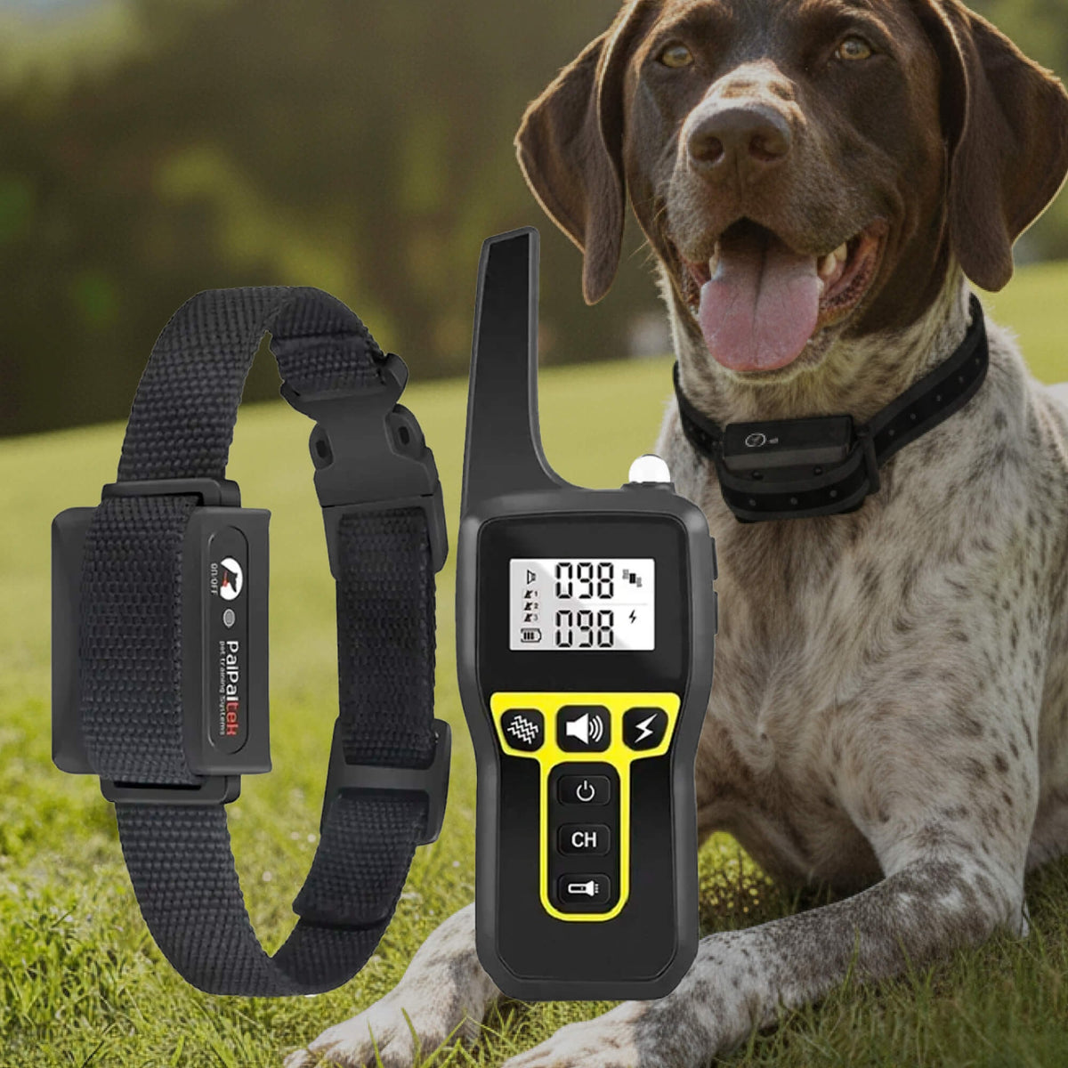 Dog Training Collar with Remote Control Waterproof Receiver and Name Tag Shock - Image 12
