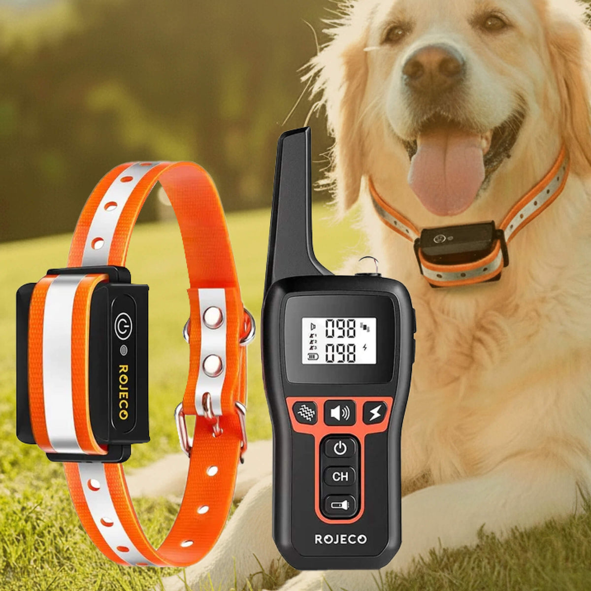 Dog Training Collar with Remote Control Waterproof Receiver and Name Tag Shock - Image 13