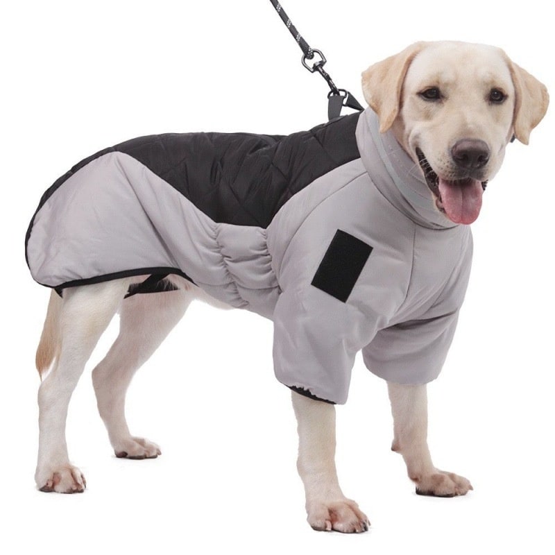 Dog Winter Coat with Waterproof Shell and Reflective Stripe for Large - Image 6