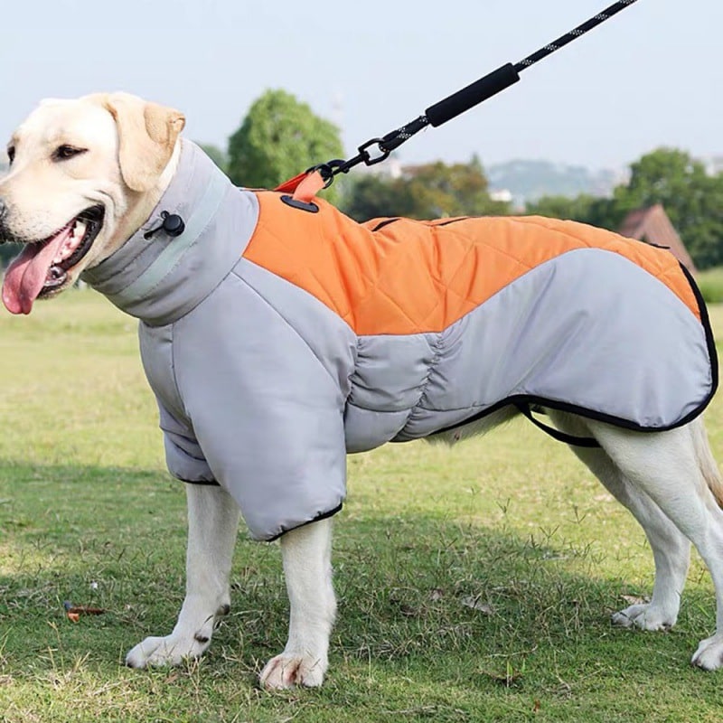 Dog Winter Coat with Waterproof Shell and Reflective Stripe for Large - Image 8