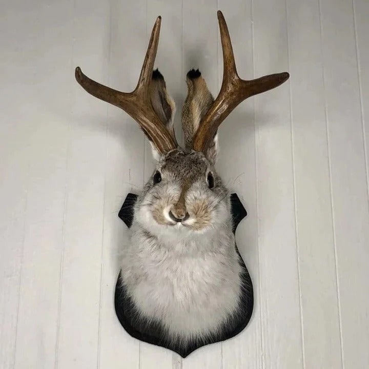 Faux Taxidermy Jackalope Head Wall Mount with Wooden Plaque - Image 1