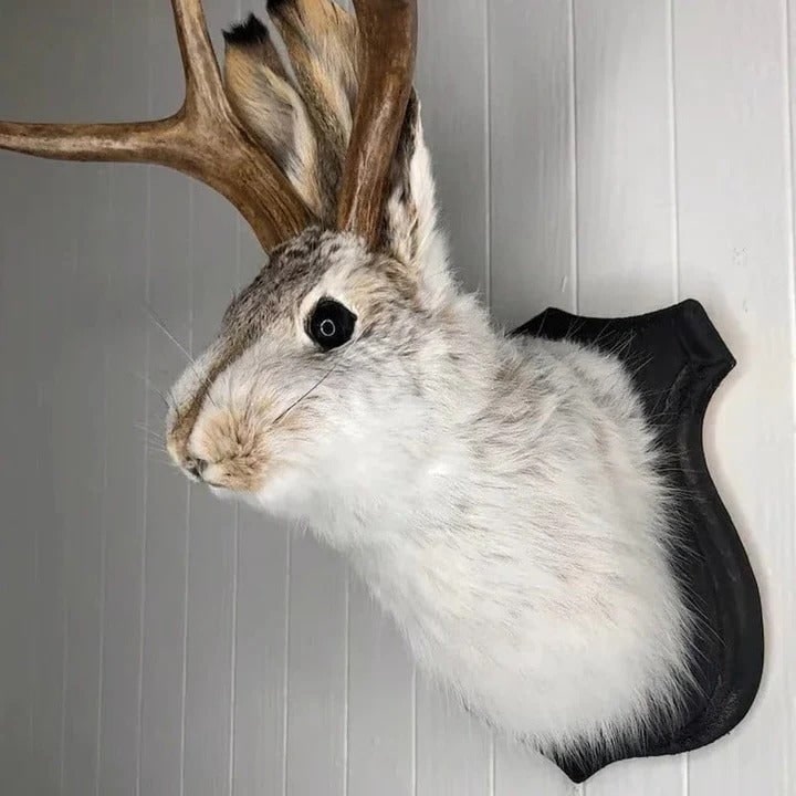 Faux Taxidermy Jackalope Head Wall Mount with Wooden Plaque - Image 2