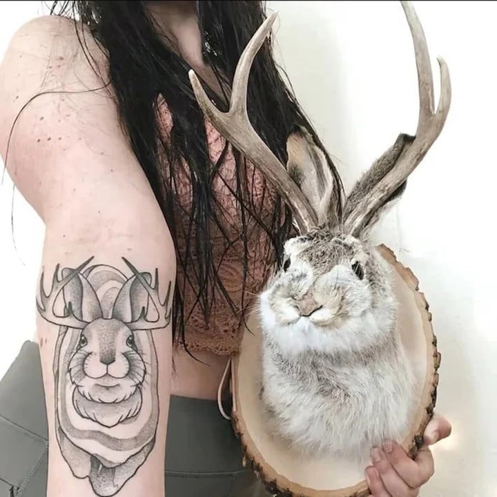 Faux Taxidermy Jackalope Head Wall Mount with Wooden Plaque - Image 3
