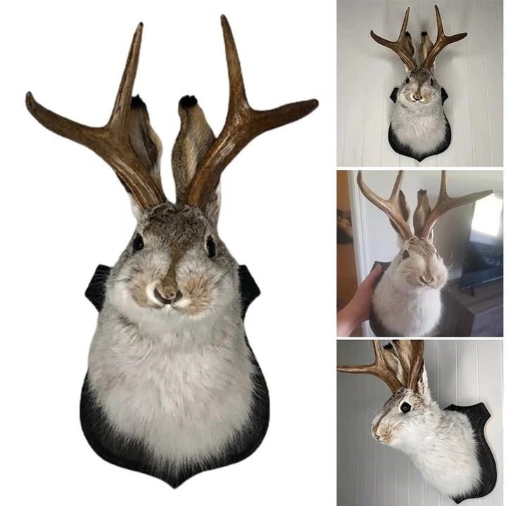Faux Taxidermy Jackalope Head Wall Mount with Wooden Plaque - Image 4