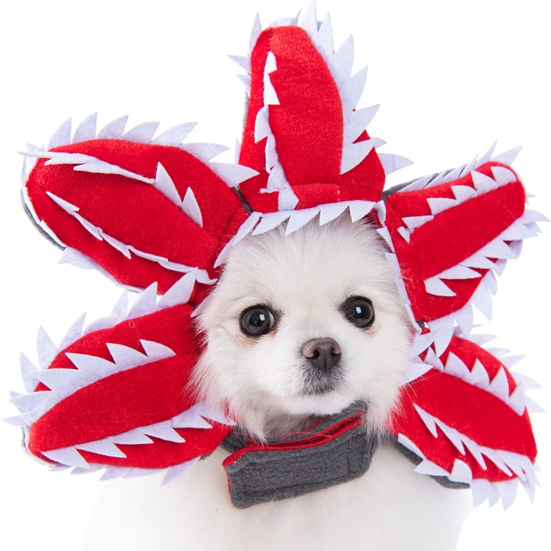 Funny Hot Dog and Dalmatian Costume with Plush Details and Adjustable Straps Human - Image 1