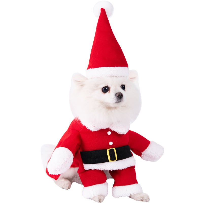 Funny Hot Dog and Dalmatian Costume with Plush Details and Adjustable Straps Human - Image 20