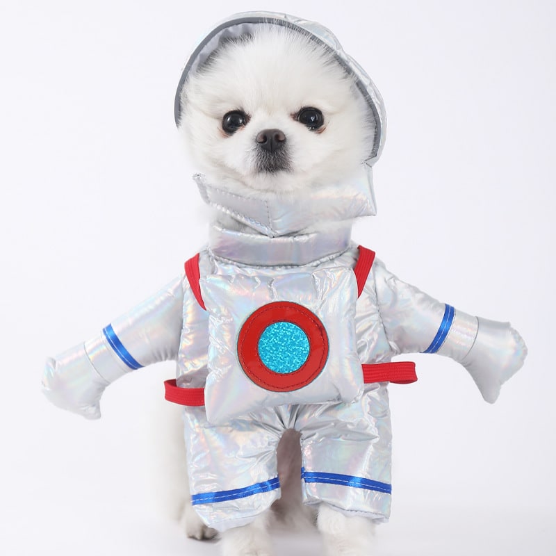 Funny Hot Dog and Dalmatian Costume with Plush Details and Adjustable Straps Human - Image 25