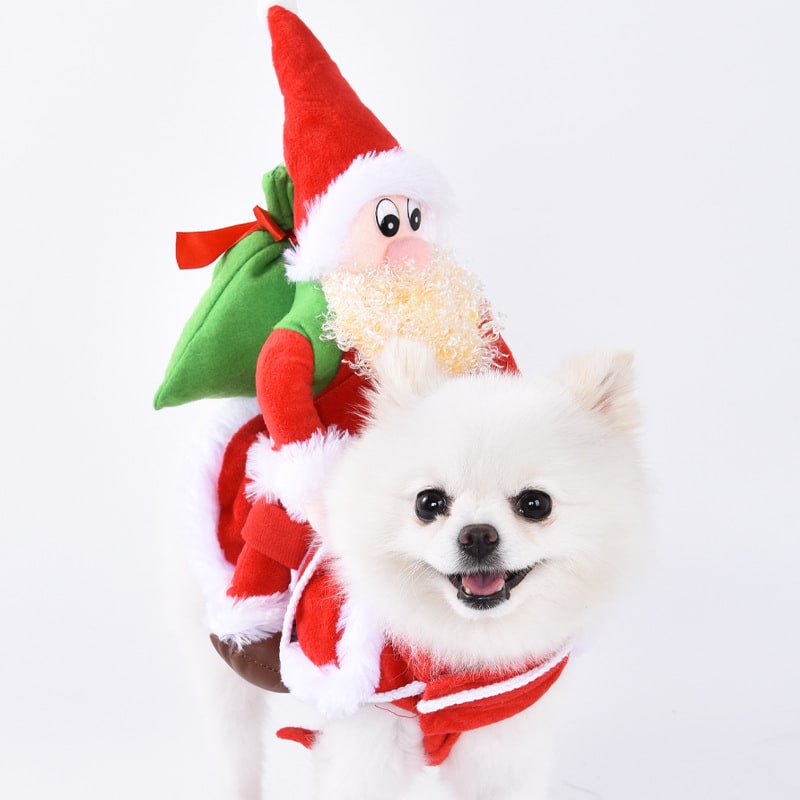 Funny Hot Dog and Dalmatian Costume with Plush Details and Adjustable Straps Human - Image 3