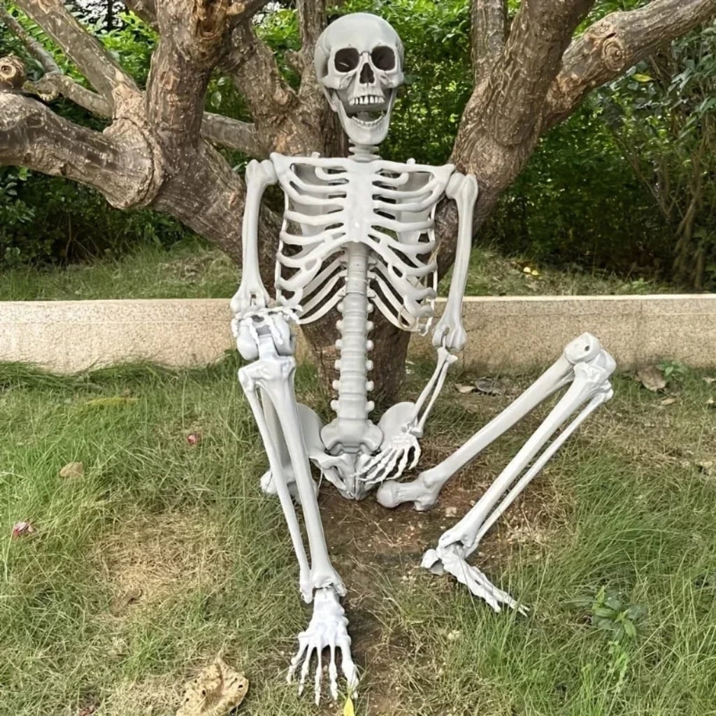 Halloween Skeleton Decoration and Prop Life-Size Poseable with Articulated Joints - Image 2